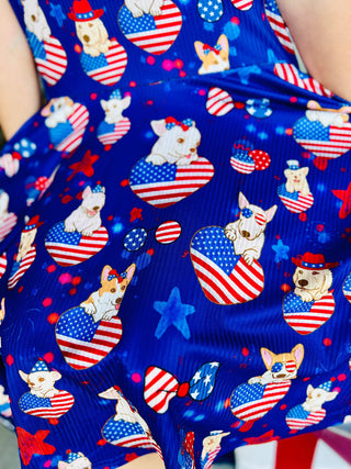 4th of July Dog Twirly Dress