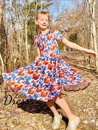 Embroidered Chicken/rooster Twirly Dress